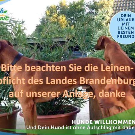 Wellness-Suite-Im-Wald-Am-See Kyritz Luaran gambar